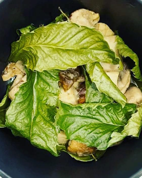 Insalata